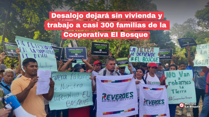 portada el bosque
