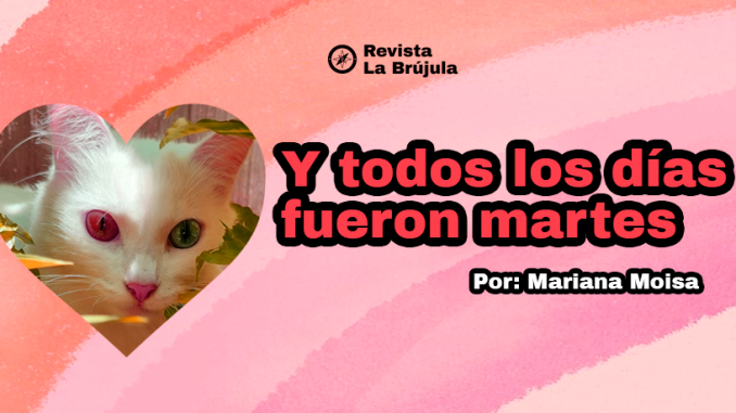 portadamariana