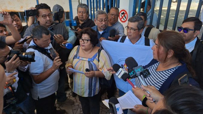 InconstitucionalidadLAEX