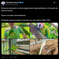 Captura de Pantalla 2025-10-10 a la(s) 17.03.35