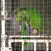 IMG_8114