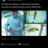 WhatsApp Image 2025-10-10 at 17.00.57