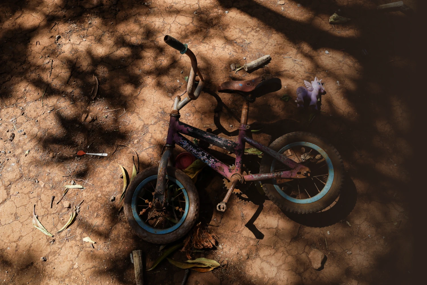 Fotografía: Menly González