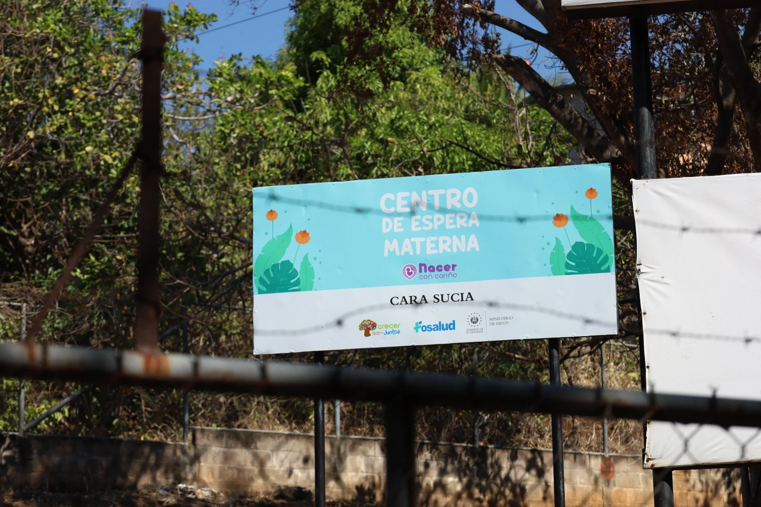 Fotografía: Menly González